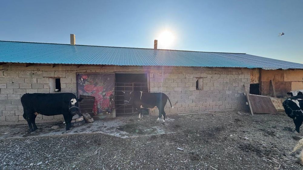 Продаётся фермерское хозяйство 11 га..