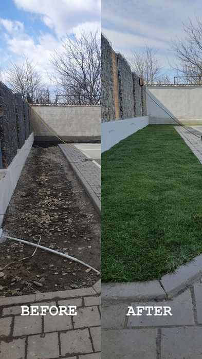 Gazon rulou/Amenajari și întrețineri gradini(Green Grass