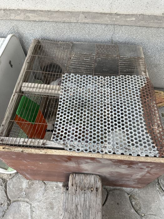 Quyon bolari zoti kaliforniya kasali yo