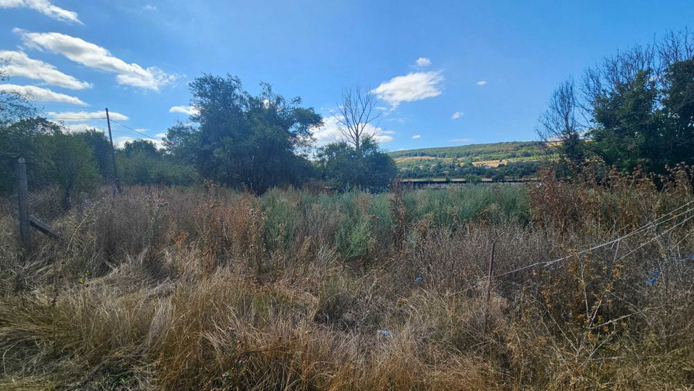 Продава се Парцел в с. Ушинци, Област Разград - 4169 кв.м за 29 €/кв.м - Снимка #6