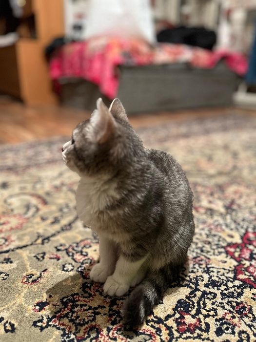 Каму  надо забирайте