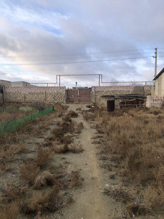 Дача 12 соток, «Электрик»