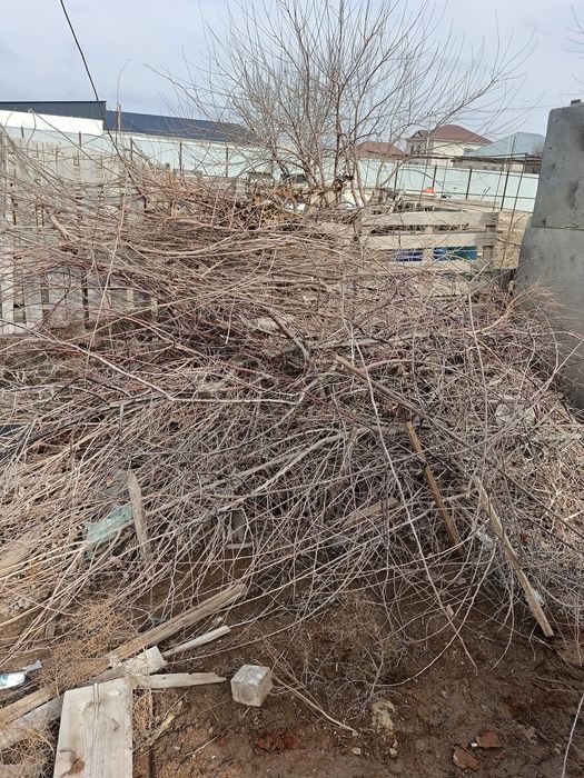 Ағаш, отын, поддон сатылады