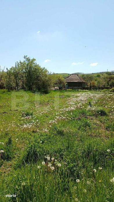 Casa cu teren generos de 1100 mp in Comuna Mica – ideala pentru inve