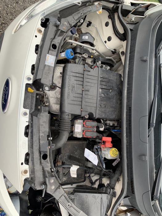 НА ЧАСТИ! Ford KA 1.2 i 69 кс. бял като нова 2013 г. 2 бр.
