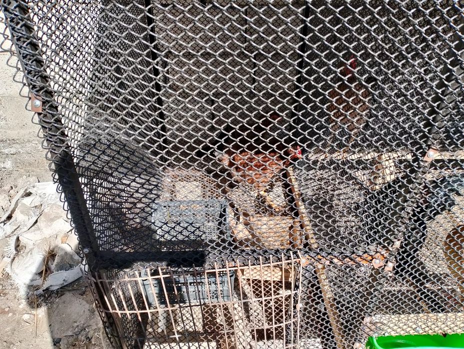 Товуқлар учун катак