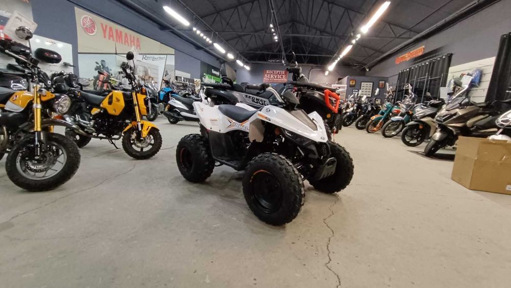 Atv copii Linhai 110 cu lumini Led -nou-0km- stoc EST BIKE Constanta