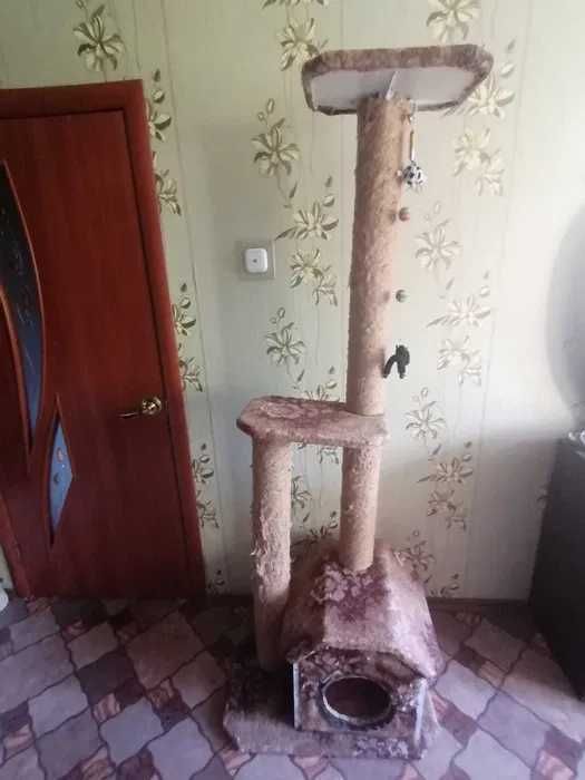 Принадлежности для кошки