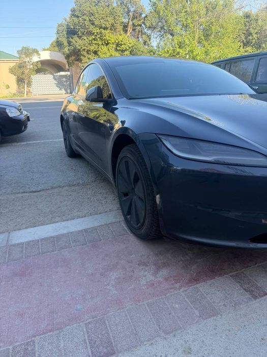 tesla model 3 2024 rest