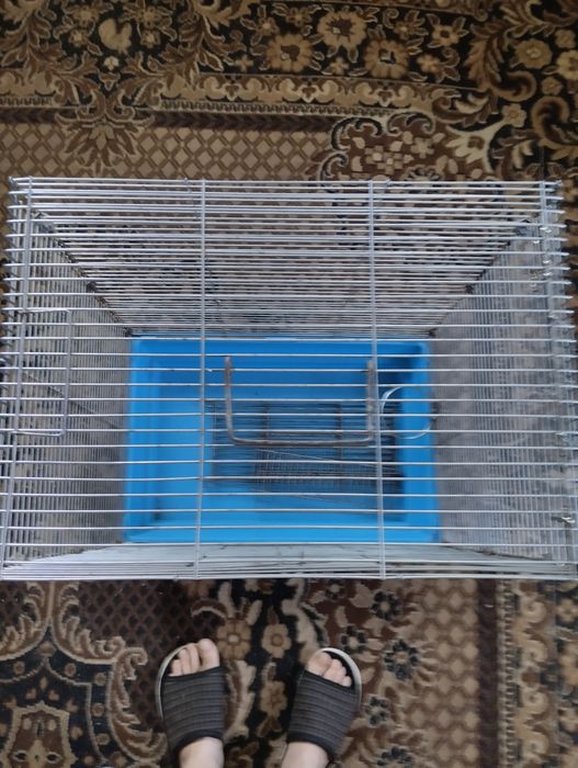 Продам большую клетку.