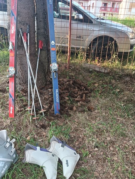 Mouse și sistem  și sciuri