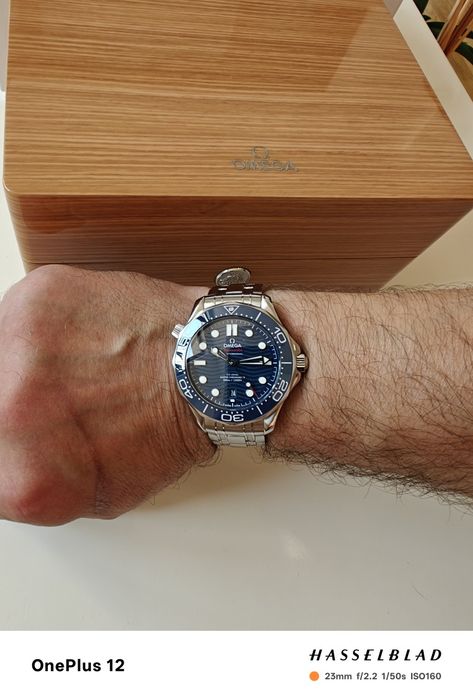 Omega Seamaster Professional 300