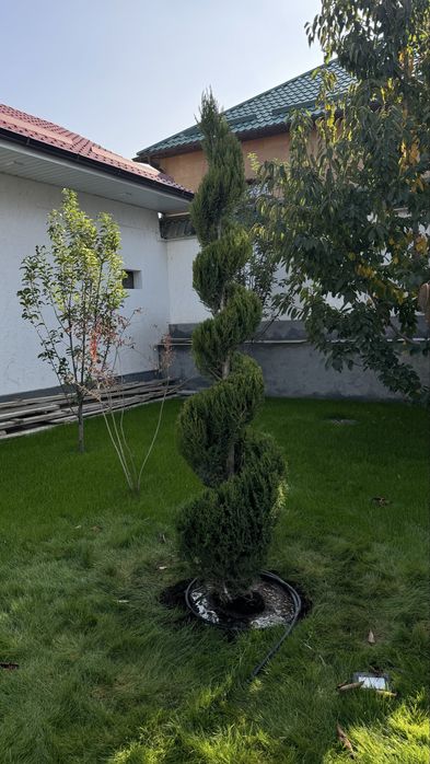 Автополив газон с гарнтий