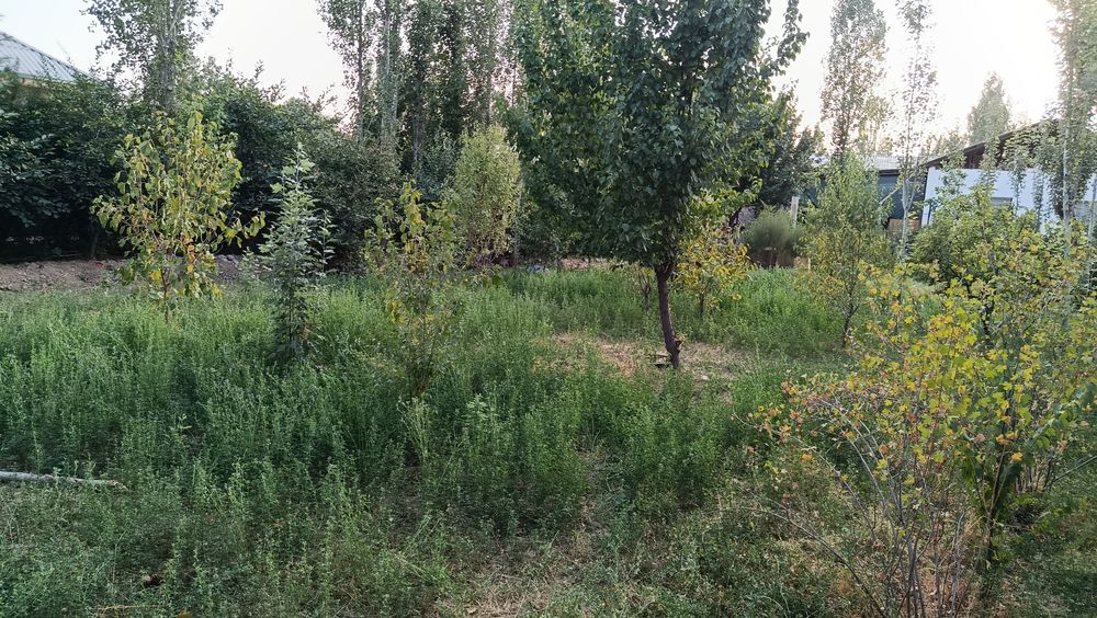6 Sotix uchastka sotiladi