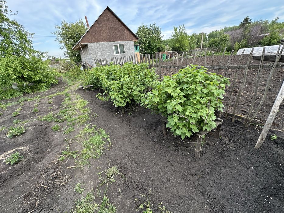 Продам дачу ( СО Дружба)