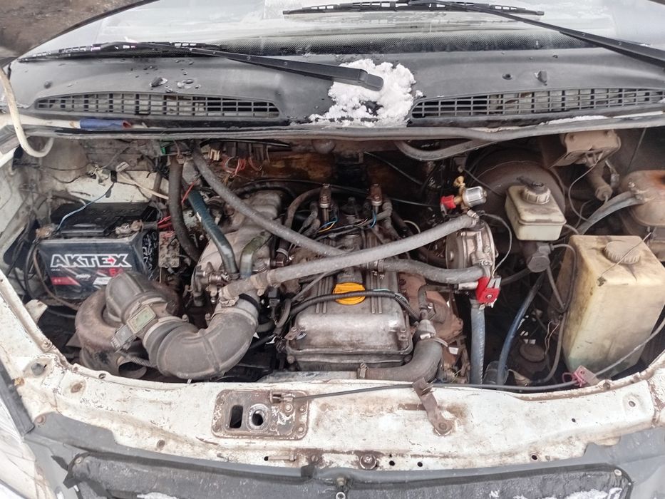 Продаю газель фермер