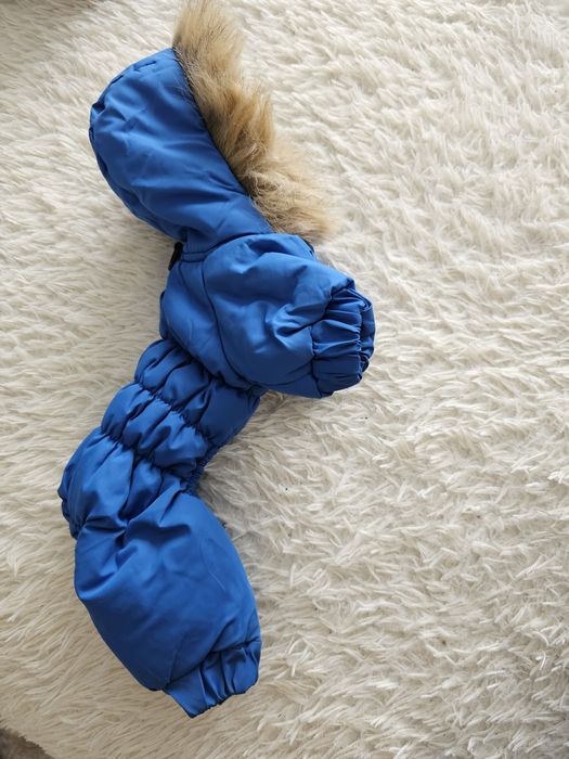 Комбинезон на йорка