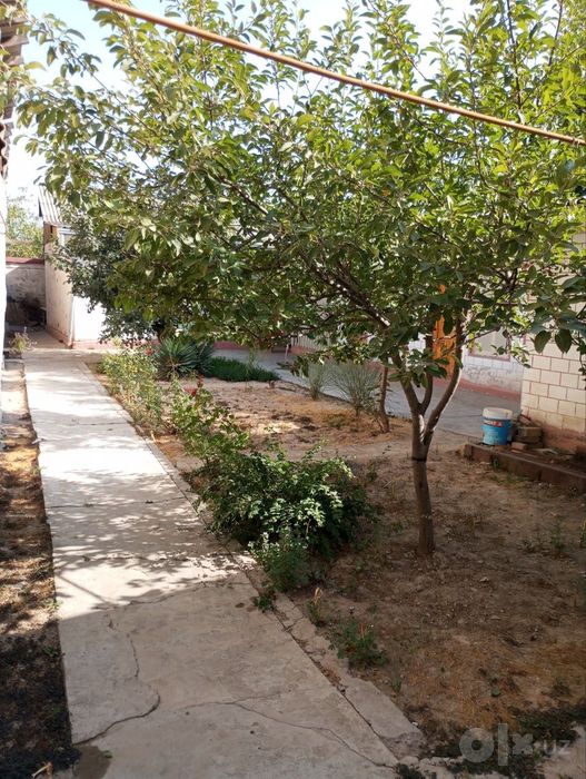 Uchaska yaxshi narxda Yashnobod tumani