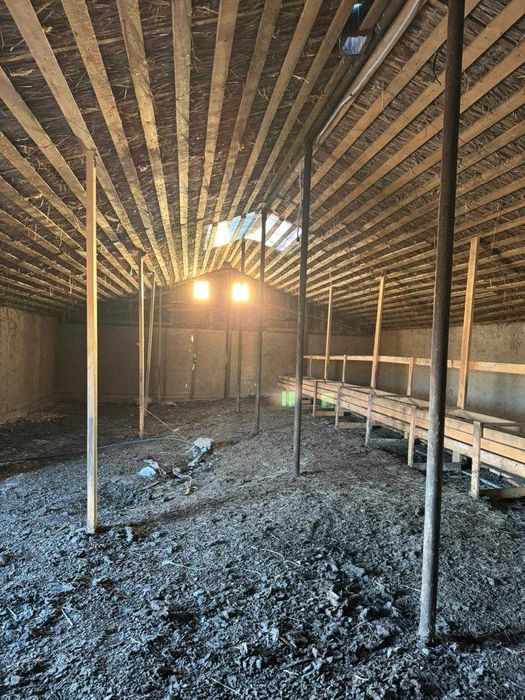 Продам крестьянское хозяйство