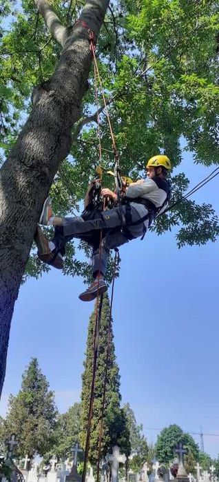Curs Autorizat Lucru la Inaltime si Alpinism Utilitar Iasi - Vert Group