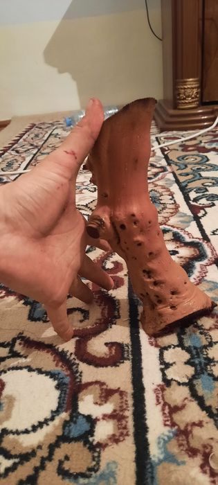 Выноградная каряга для аквариума. Сифати ало даражада хархил  шаклда