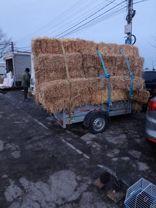 Baloți de paie de vânzare