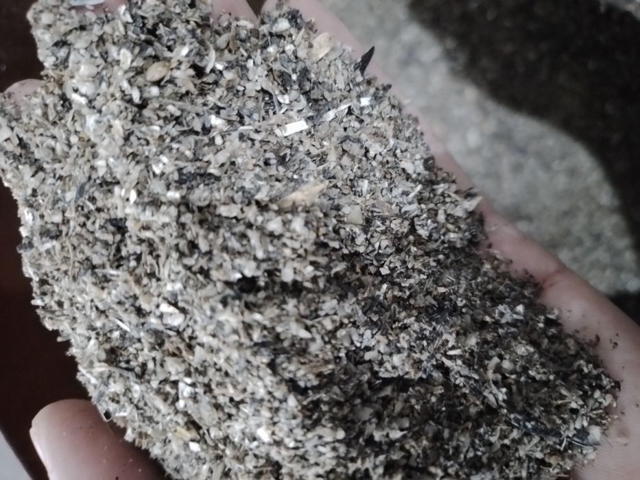 Жем отход от семечки