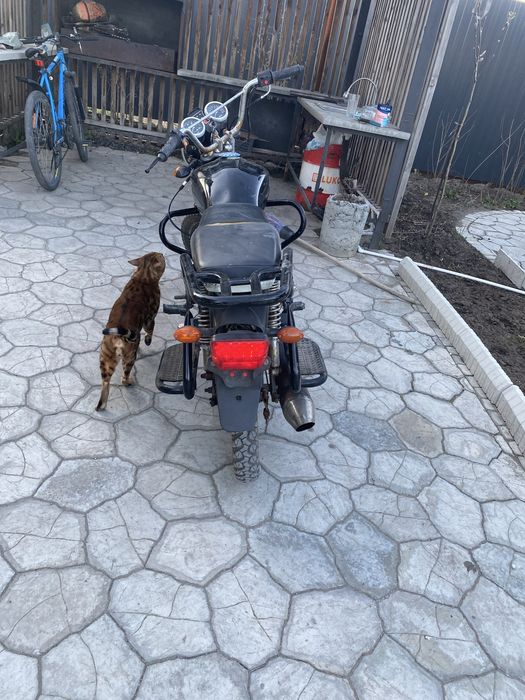 Продам мопед альфа