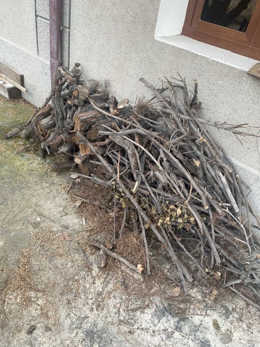 Хар хил дарахтлар утинлари.