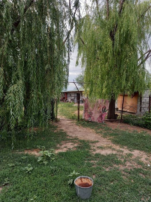 продам   дом  фазенда.