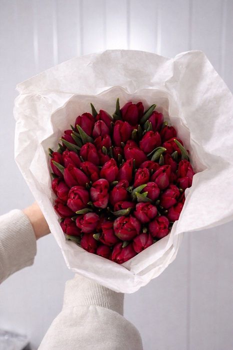 Тюльпаны из Голландии к 14 февраля — доставка по Ташкенту