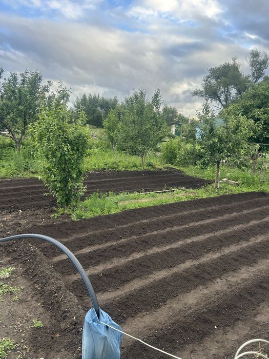Продам дачный дом с участком