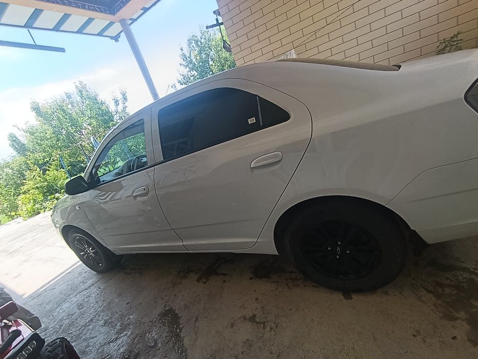 Cobalt 2025 kraska toza