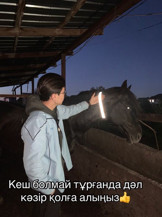 Светоотражающие лента