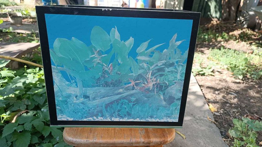 Террариум 24 литра