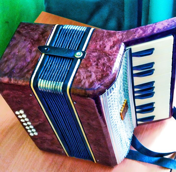 Аккордеон Малыш А-23 # 14-1