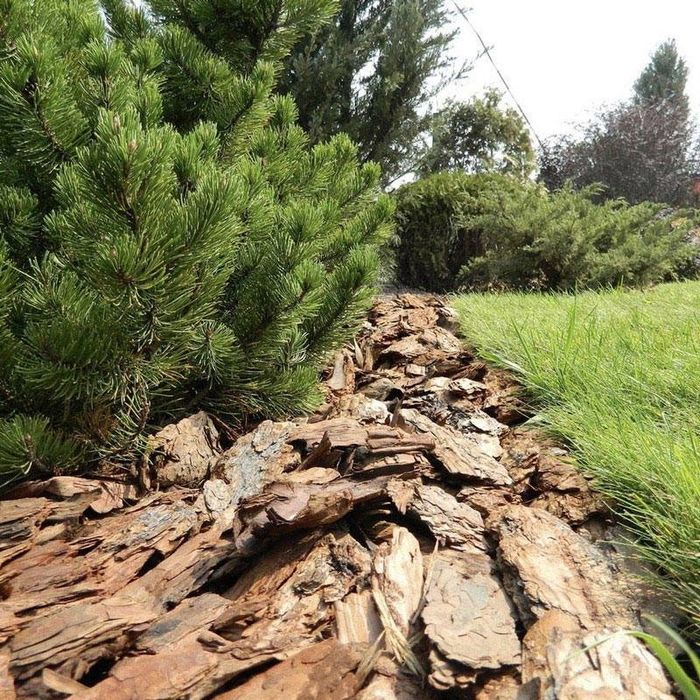 Торф, биогумус, почвосмесь, базовый грунт, навоз перепревший и другое