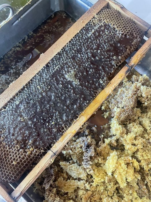 Сертифициран био манов мед