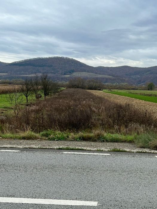 Vând teren intravilan 8025m2 Câțcau