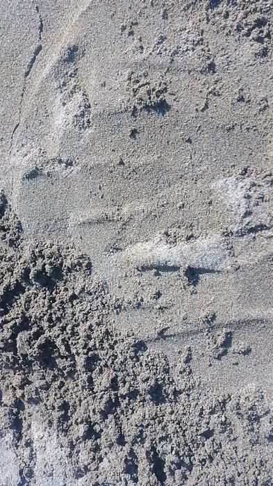 Qum. Kilins. Shibin. Kampot. yetkazib beramiz