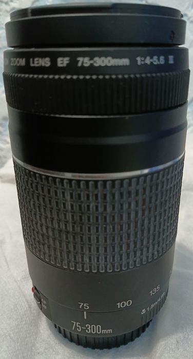 Canon EF 75-300mm.
