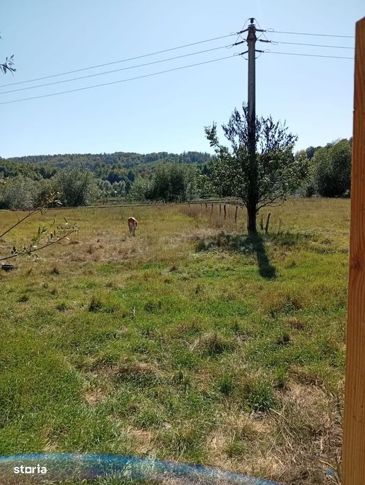Vand casa + teren 5500mp Cacica, Langa Suceava sau schimb ap.Bucuresti