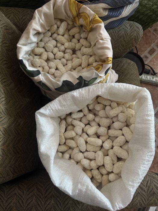 Құрт,қолдын құрты,курт