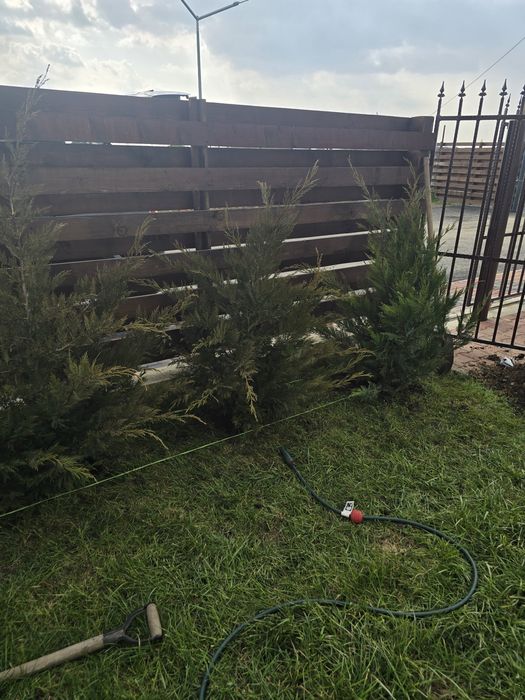 Ofer servicii de curățare și întreținere terenuri,curții.