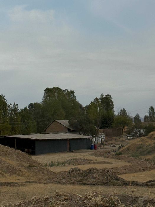 Продается участок  Юкоричирчик р-н, Суркент, Янгихает МФЙ, ул Кизилту