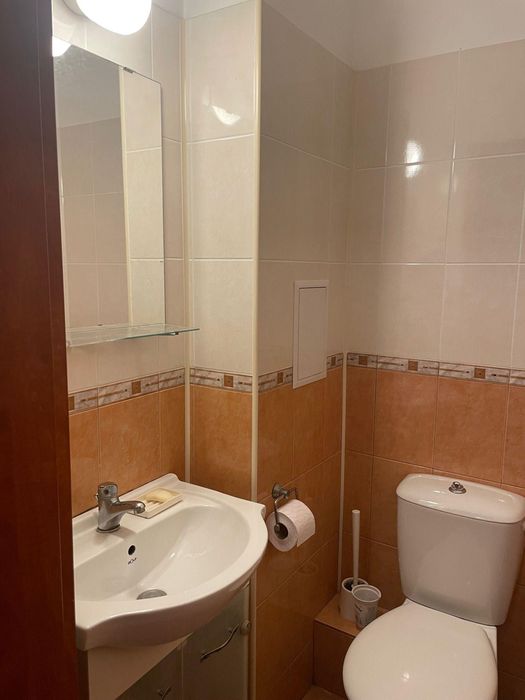 Дава се под наем Тристаен апартамент в София, Карпузица - 93 кв.м за 597.21 € - Снимка #9