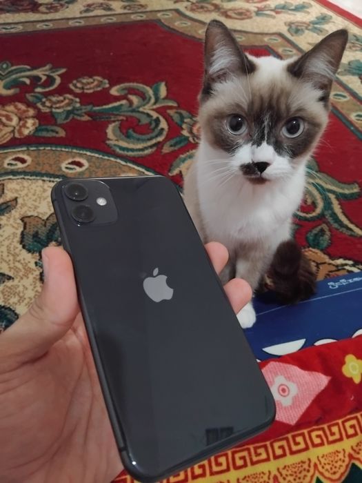 Продам Iphone 11 Акб 74%