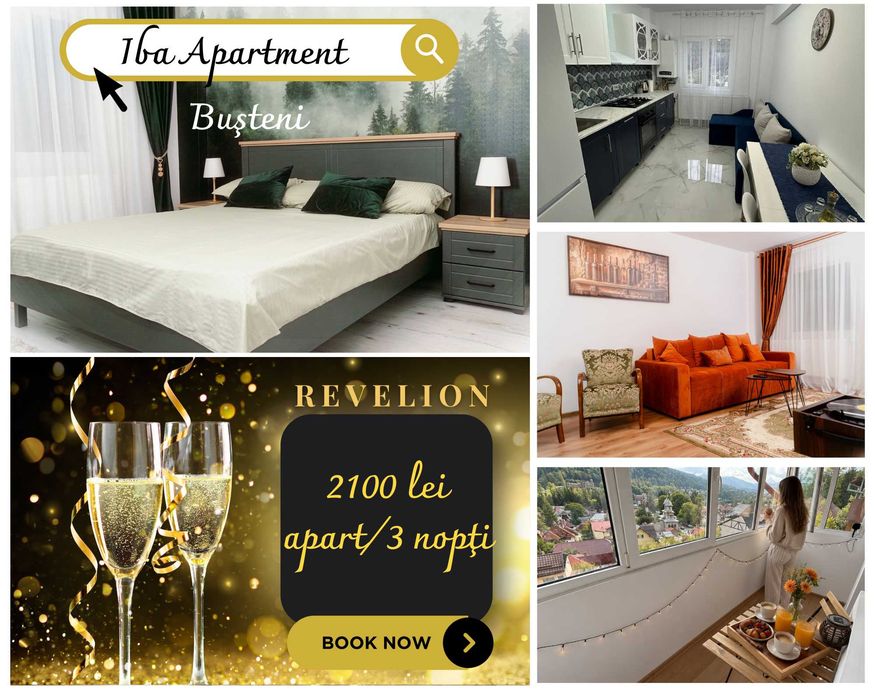 Apartament regim hotelier Busteni - Iba Apartment