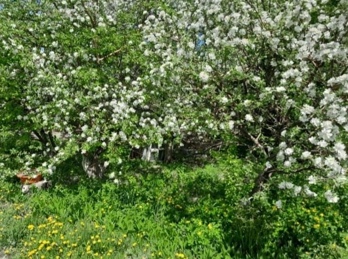 Продам дом Жыланды