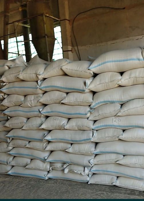 Күріш кебек Лузга